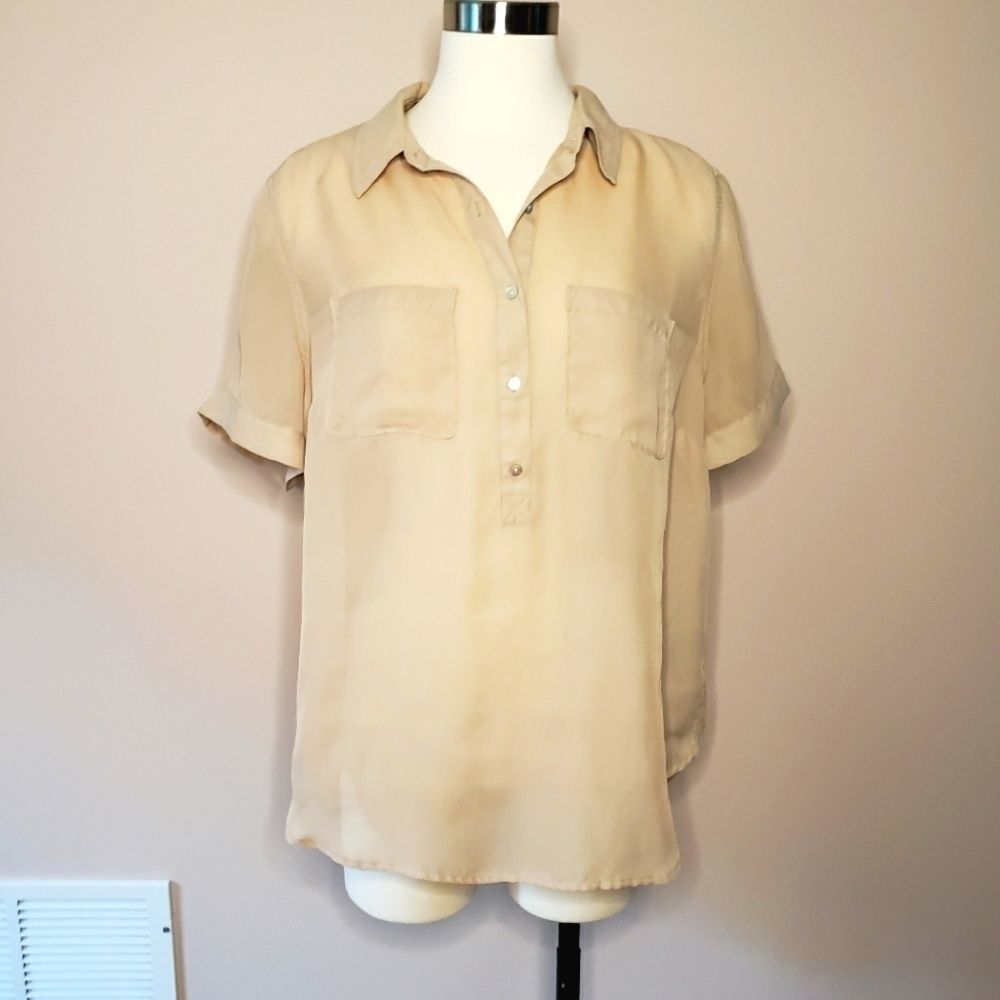 Sheer collared blouse